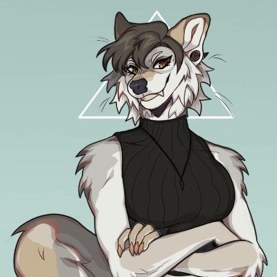 I'm31 | furry | gamer 🎮 | 🔞please , and thank you | Hi , my name is Cynthia , a a wolf 🐺 , it's a pleasure to meet you , I'm a professional artist 😊
