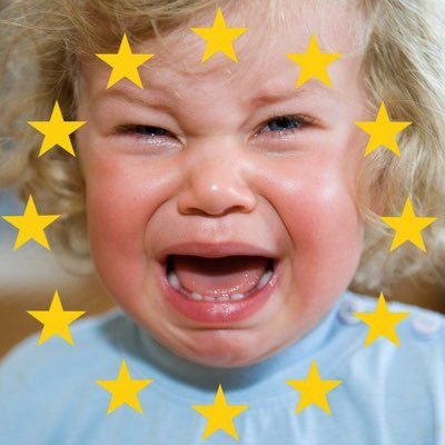 A bigger boy made me post it. Lists, DM’s and even so much as a like from porn bots / Elon bots = instablock. RT ≠endorsement. Remigration enthusiast.
