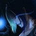 Lavinia v2 (@nervio__) Twitter profile photo Lavinia v2 (@nervio__) Twitter profile photo