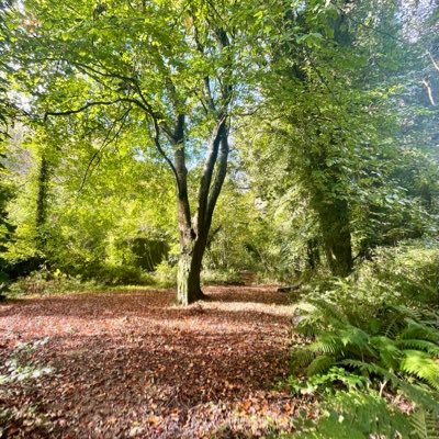 Aisling_Pash's profile picture. Photography, Irish Rugby fan. All opinions are my own.