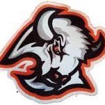 Melita Senior Bisons (@melitabisons) 's Twitter Profile