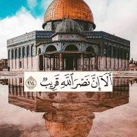 راوية شافع (@dr_rawyashafaa) 's Twitter Profile Photo