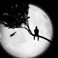 أبوعناد (@mktbkdmt2) 's Twitter Profile