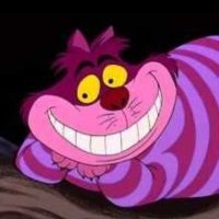 cheshire cat(@nicolascarrie15) 's Twitter Profile Photo
