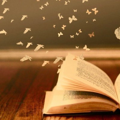 venice_sandra's profile picture. 