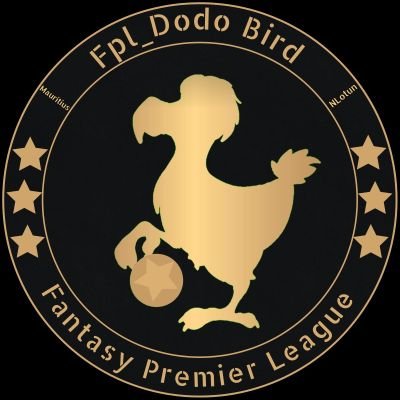 Nlo7un's profile picture. As rare as the Dodo🌴