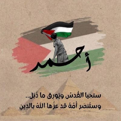 AhmedMohamedPro's profile picture. Android | React Native | KMP Developer 🇪🇬🇵🇸👨🏻‍💻💻