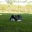 mamacujo128484's profile image