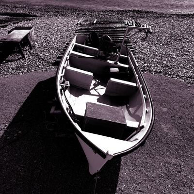 Wolf146's profile picture. 