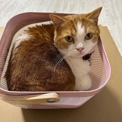 55Hunknown39068's profile picture. 初めまして🥰💞
お気軽にDMください👍