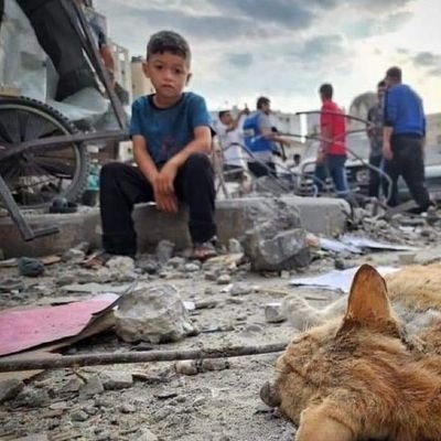 mamir02048115's profile picture. #FREE_PALESTINE
