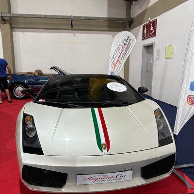 Guigomes022's profile picture. 