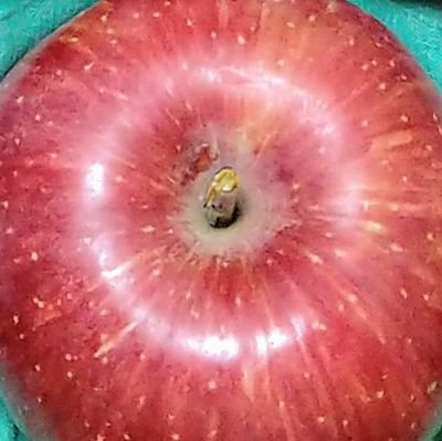 suki_aka_f2's profile picture. 腐った成人20↑。🌍オクバデ、skdy🔨、WB🎧、呪🍙 hqや⑧も好き♡雑多＋日常。好きな時に好きなものを。