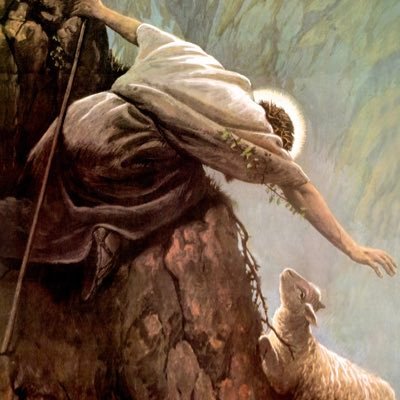 Alexiades_14's profile picture. CUW Wrestling🤼‍♂️ ~🐟🦈🐋~