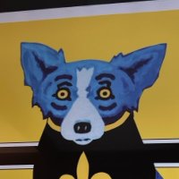 SmallGov Freight Train (@am95901) 's Twitter Profile