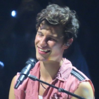 livsmbook's profile picture. books & shawn mendes