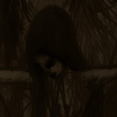 purebotox's profile picture. Datagotchi Dirty Goblin #PureDesigner