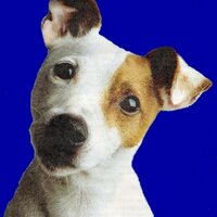 🦁 Wugiwil 1⃣3⃣ years tweet/❌weeting 🐶 ♌️♍️♉️ (@wugiwil) 's Twitter Profile Photo 🦁 Wugiwil 1⃣3⃣ years tweet/❌weeting 🐶 ♌️♍️♉️ (@wugiwil) 's Twitter Profile Photo