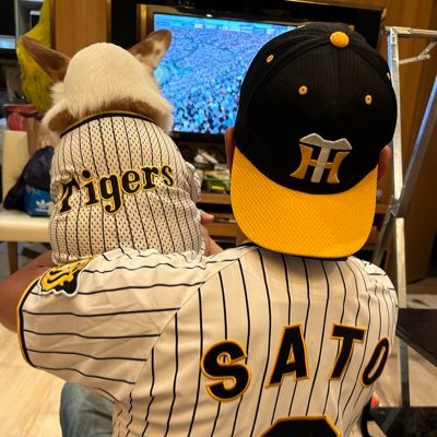 元居酒屋アカだったけどもうほぼコーギーの寅年トラキチ君メイン🐶日本に居ませがよろしくお願いします🤝