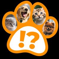 Cats & Dogs -Spot the Difference Quiz(@CatsDogsQuiz) 's Twitter Profile Photo