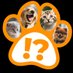 Cats & Dogs -Spot the Difference Quiz (@CatsDogsQuiz) Twitter profile photo