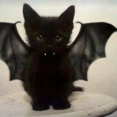 kepinex's profile picture. 