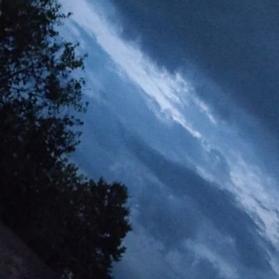 DaniGut36981579's profile picture. 