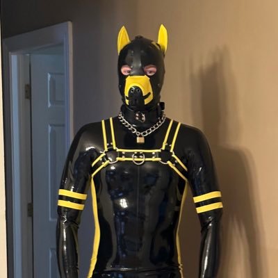 NSFW 18+ | Gearhead | Rubber Pup | 💛@PupKooda | into 🐾⛓️🏍️🏋️‍♂️