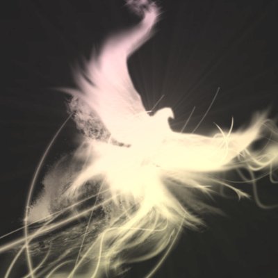 WEdidiT55's profile picture. 🚶‍♀️T R A V E L E R 💫