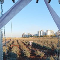 stgny (@stgny1) Twitter profile photo