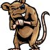 Rat Man (@ratman_backatit) Twitter profile photo Rat Man (@ratman_backatit) Twitter profile photo