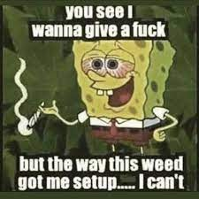 meowkittycat132's profile picture. 