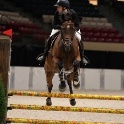 2025 Show Jumper 17yr || USEF #5861631  2023 BCHP Jumper Champion - 2021 BCHP Jumper Champion - 2021 MCHF Jumper Reserve Champion Email:tayymcdonald15@gmail.com