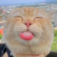 oya🪐 (@walthetic) 's Twitter Profile