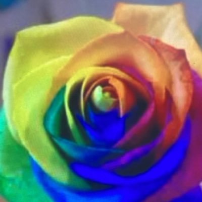 rainbow rose:花言葉:不可能を可能にする: langage des fleurs :Make the impossible possible /🌈 /Love music/ Love Rugby /Love the Earth 🌏🌎🌍