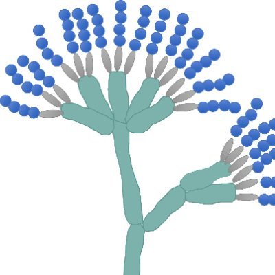 L. González-Candelas & A. R. Ballester #postharvest #pathology #citrus #apple #Penicillium #Aspergilli #molecularbiology #mycotoxins. Opinions by our own