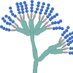 Postharvest Pathogens and Food Spoilage Team (@postpath_iata) Twitter profile photo Postharvest Pathogens and Food Spoilage Team (@postpath_iata) Twitter profile photo