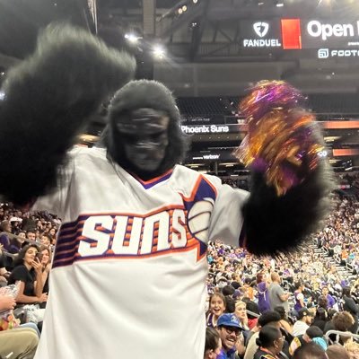 i try to cover the phoenix suns
