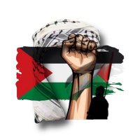 ﮼أمــيـنــة🍁 (@_aminaabidi) Twitter profile photo