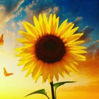 Ashwini (@ashwini7126) 's Twitter Profile Photo