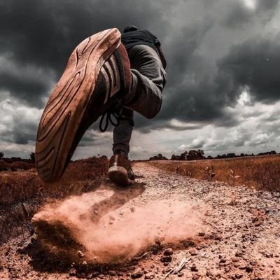 noisy223's profile picture. 