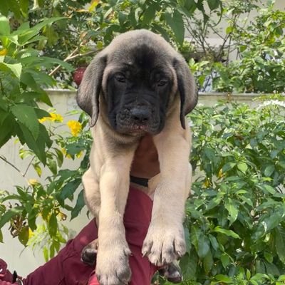 Prakash09661201's profile picture. 