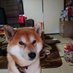 ããã·ã¥ (@6bwuhy2bg8timfk) Twitter profile photo ããã·ã¥ (@6bwuhy2bg8timfk) Twitter profile photo