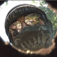 Ankhax 🇸🇰 🇪🇺 (@ankhax1) 's Twitter Profile Photo