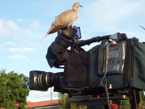 BFriedkin's profile picture. Professional TV News Photographer, Amateur Space Cadet