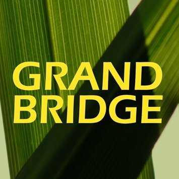 Foshan Grand Bridge Building Materials CO,. Ltd.