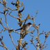 Greg Gilmore (@birder1241) Twitter profile photo Greg Gilmore (@birder1241) Twitter profile photo