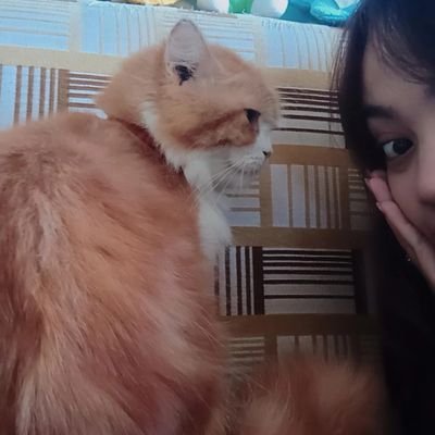 1st meow, 2nd food, 3rd the first