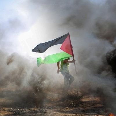 amadou_sh's profile picture. https://t.co/oGLtBQSp28