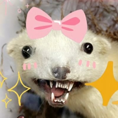 TV Ketchupさんのプロフィール画像